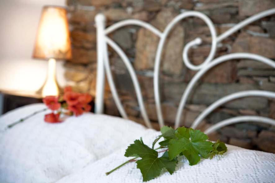 Sifnos View Aparthotel Apollonia  Ngoại thất bức ảnh